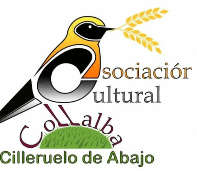 www.asociacioncollalba.es